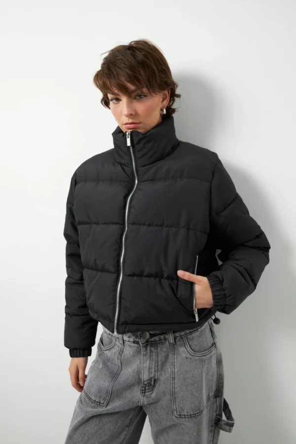 Campera Webster